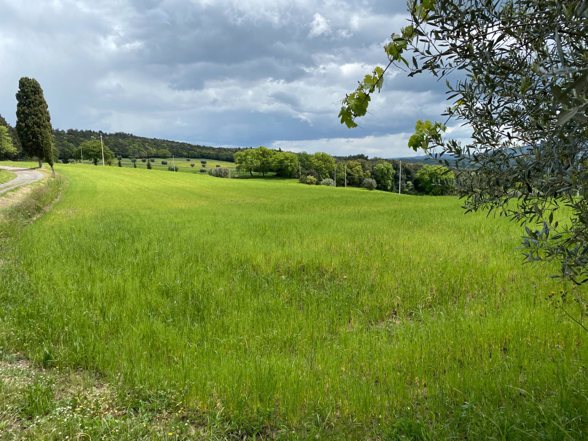 Casa colonica di ampia superficie in posizione dominante con vista panoramica in vendita a Pomarance