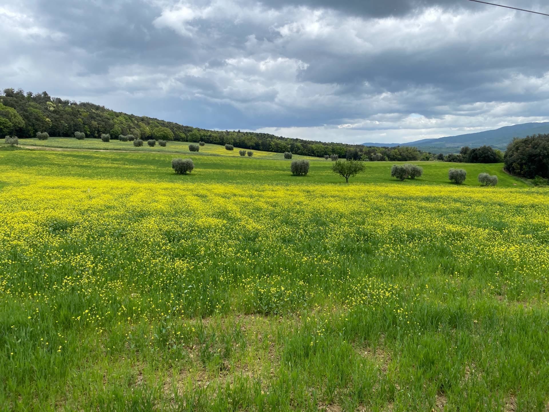 Casa colonica di ampia superficie in posizione dominante con vista panoramica in vendita a Pomarance