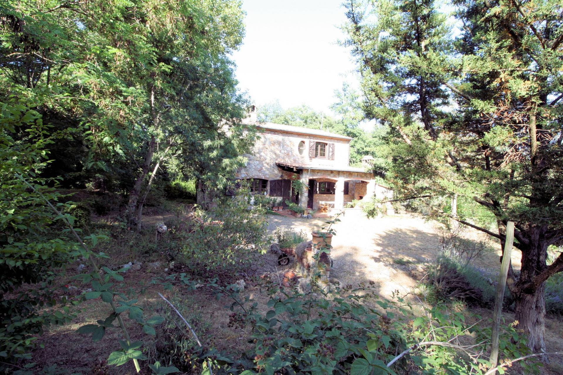 Rustico in stile Toscano con dependances immerso nel bosco in vendita a Montieri, Boccheggiano