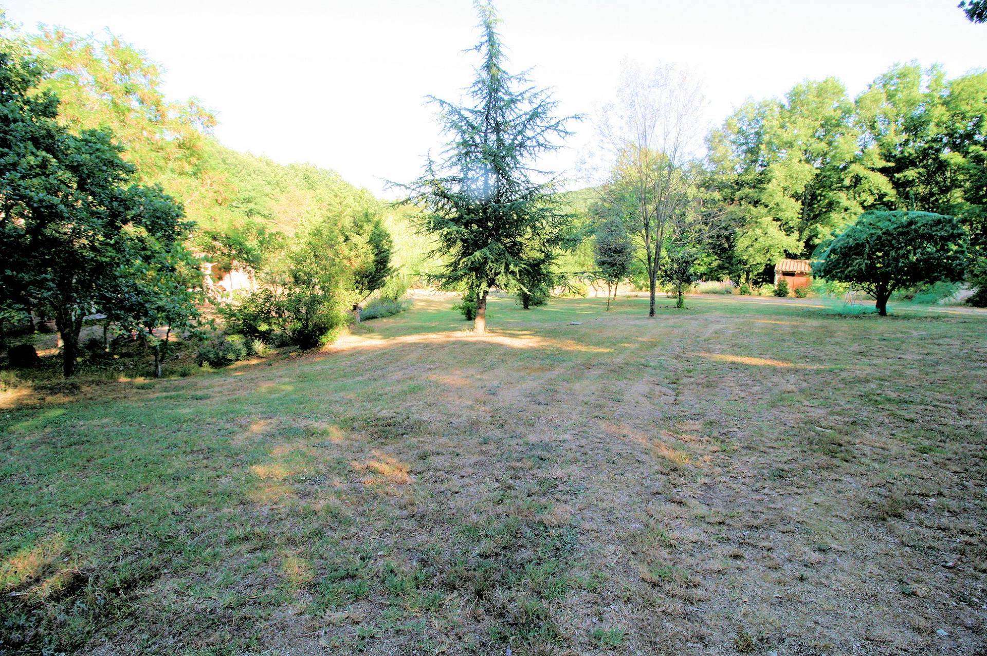 Rustico in stile Toscano con dependances immerso nel bosco in vendita a Montieri, Boccheggiano
