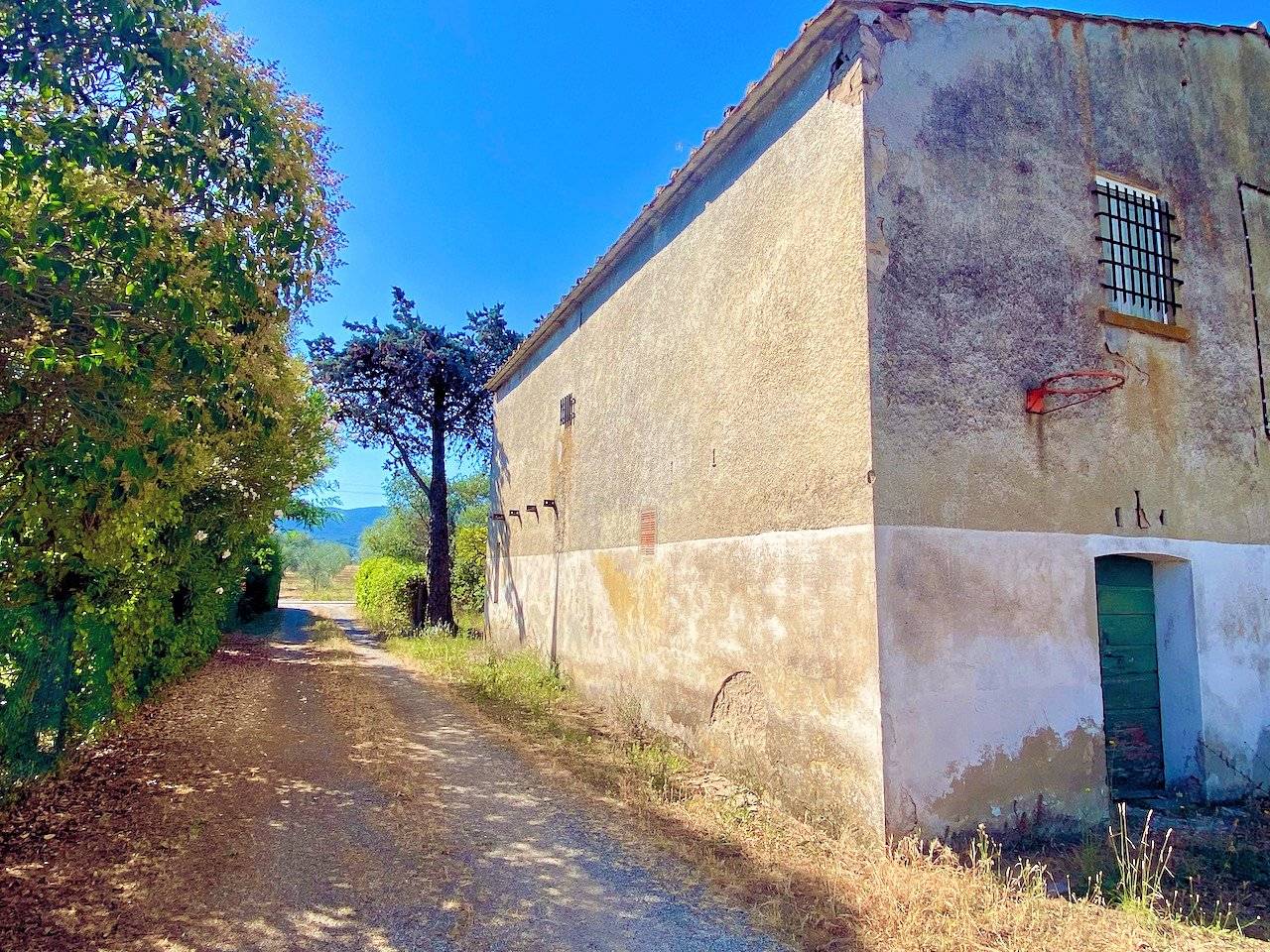 Rustico con annesso agricolo da ristrutturare in vendita a Castagneto Carducci