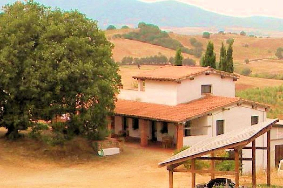 Azienda agricola in posizione collinare con vista mare in vendita a Magliano in Toscana, Montiano
