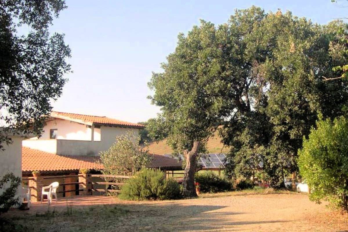 Azienda agricola in posizione collinare con vista mare in vendita a Magliano in Toscana, Montiano