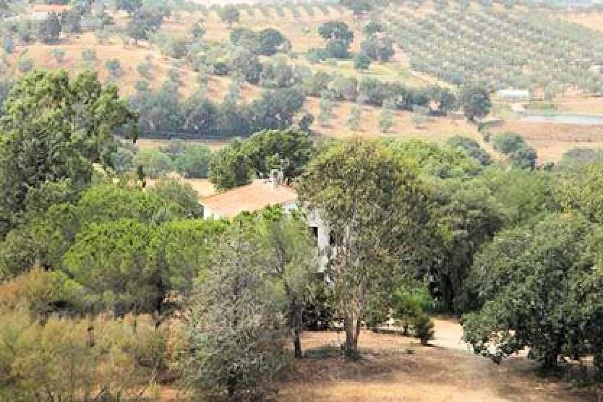 Azienda agricola in posizione collinare con vista mare in vendita a Magliano in Toscana, Montiano