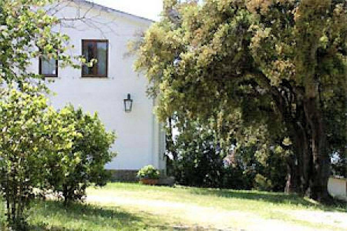 Azienda agricola in posizione collinare con vista mare in vendita a Magliano in Toscana, Montiano