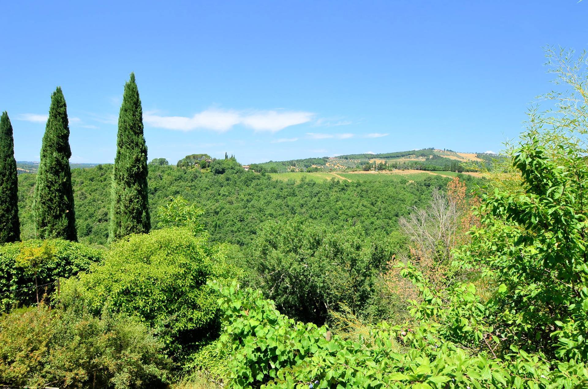 Casale in stile Toscano con terreno e vista panoramica in vendita a Greve in Chianti