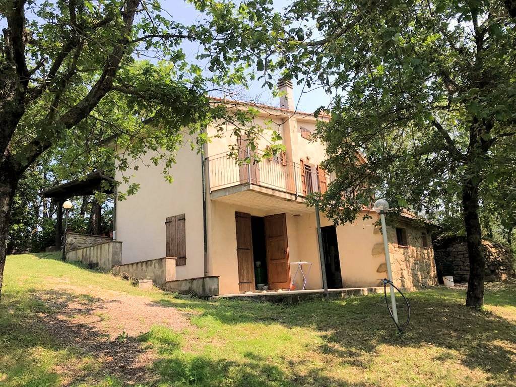 Rustico in stile Toscano con giardino e piscina in ottima posizione in vendita a Roccastrada, Sassof