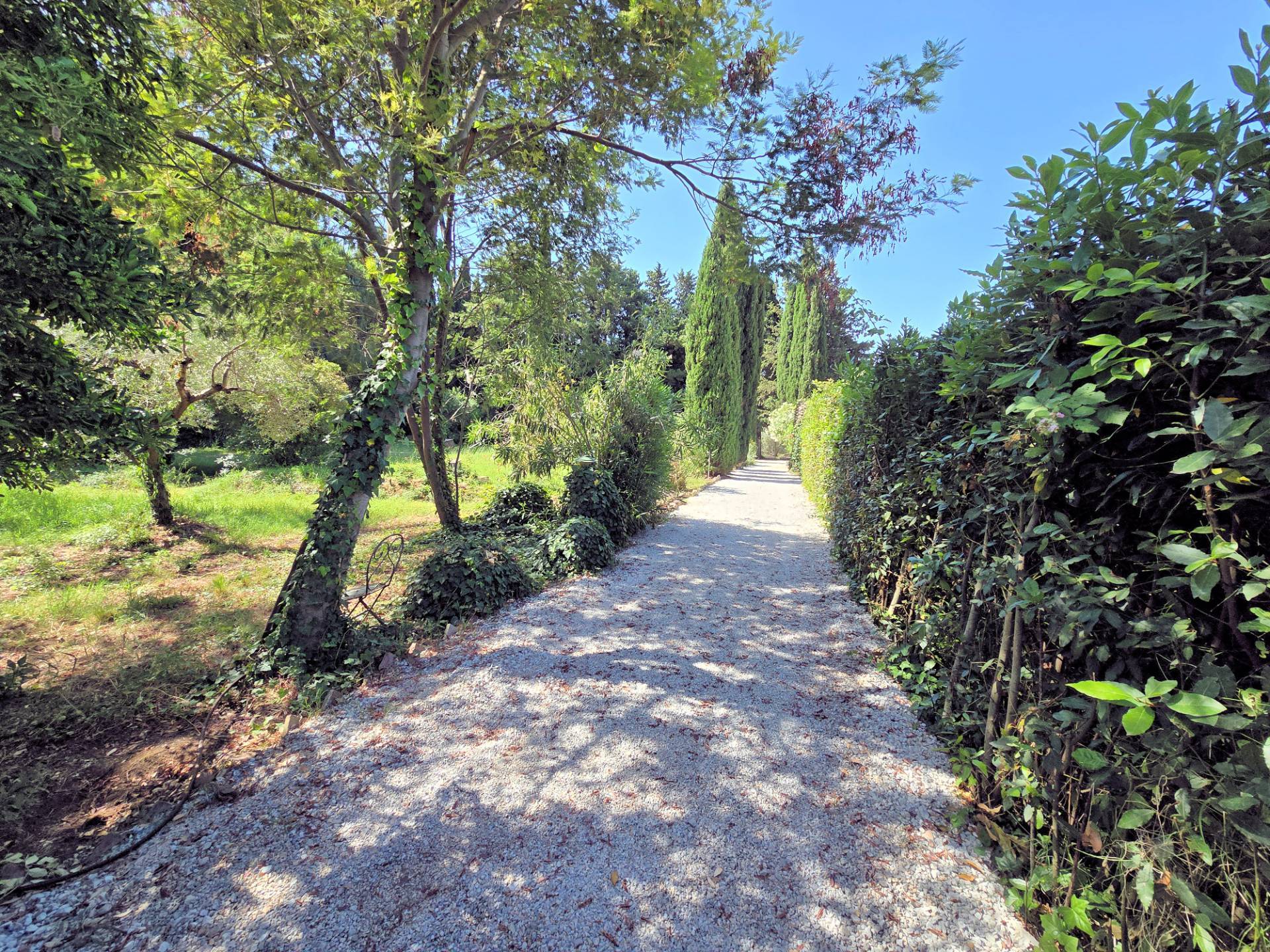 Casa indipendente in stile rustico Toscano con terreno in vendita a Campiglia Marittima, Venturina