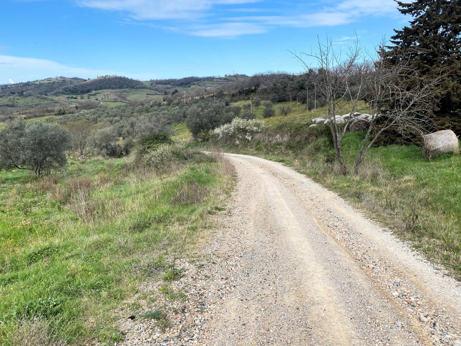 Colonica da ristrutturare con ampio terreno in posizione panoramica in vendita a Lajatico