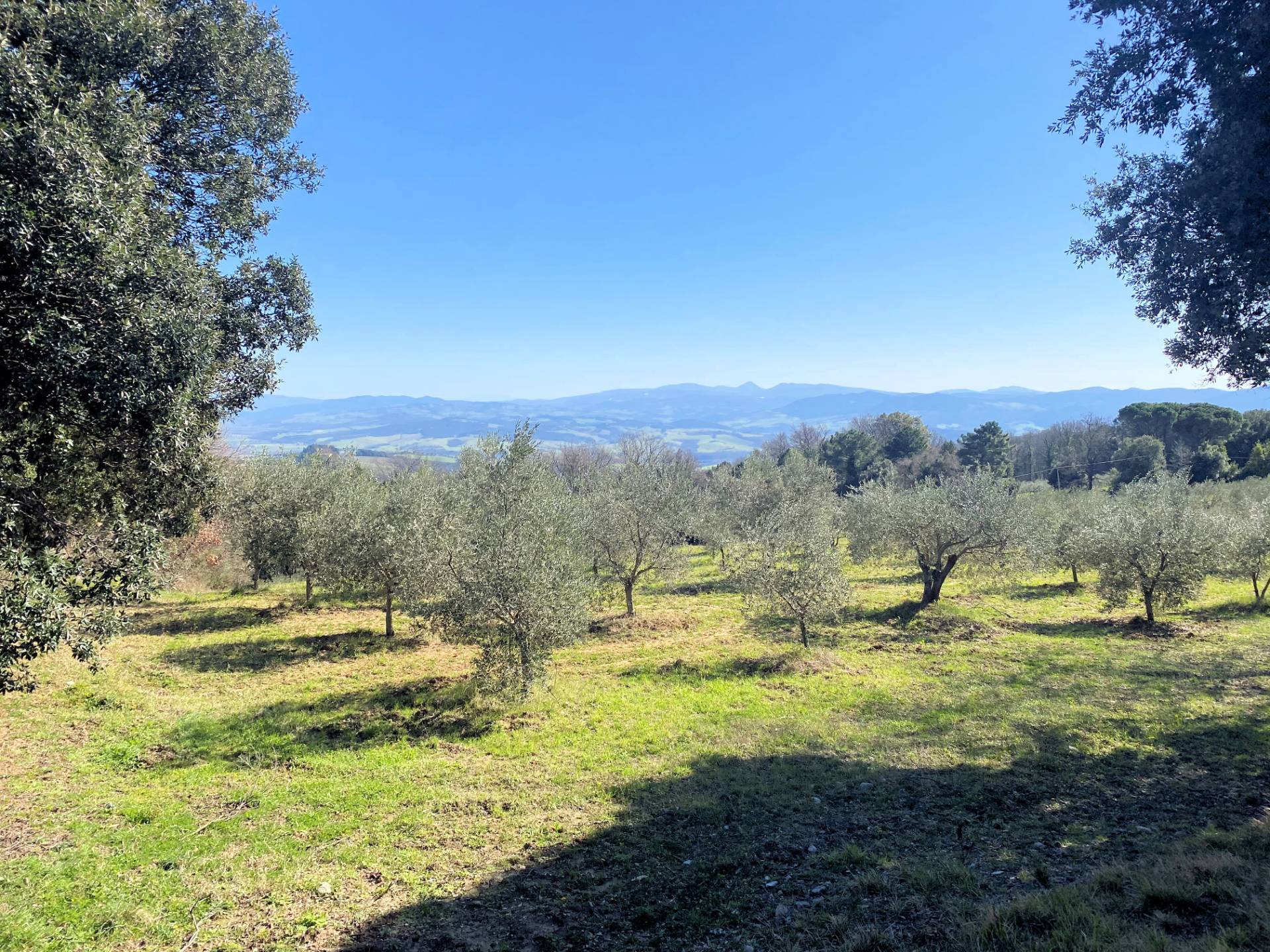 Colonica da ristrutturare con ampio terreno in posizione panoramica in vendita a Lajatico