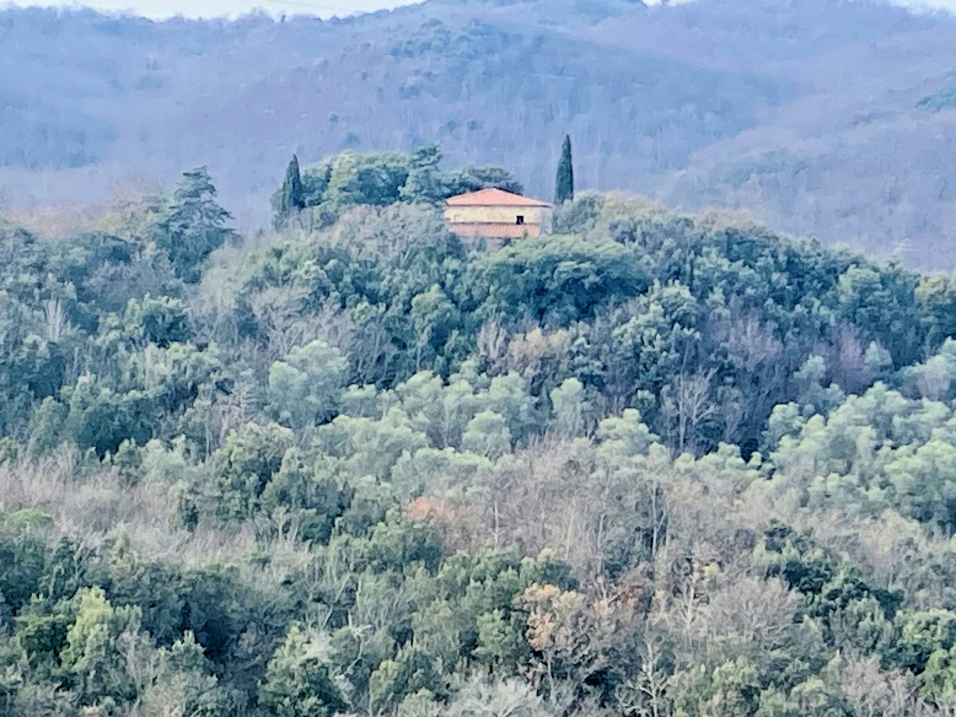 Colonica da ristrutturare con ampio terreno in posizione panoramica in vendita a Lajatico