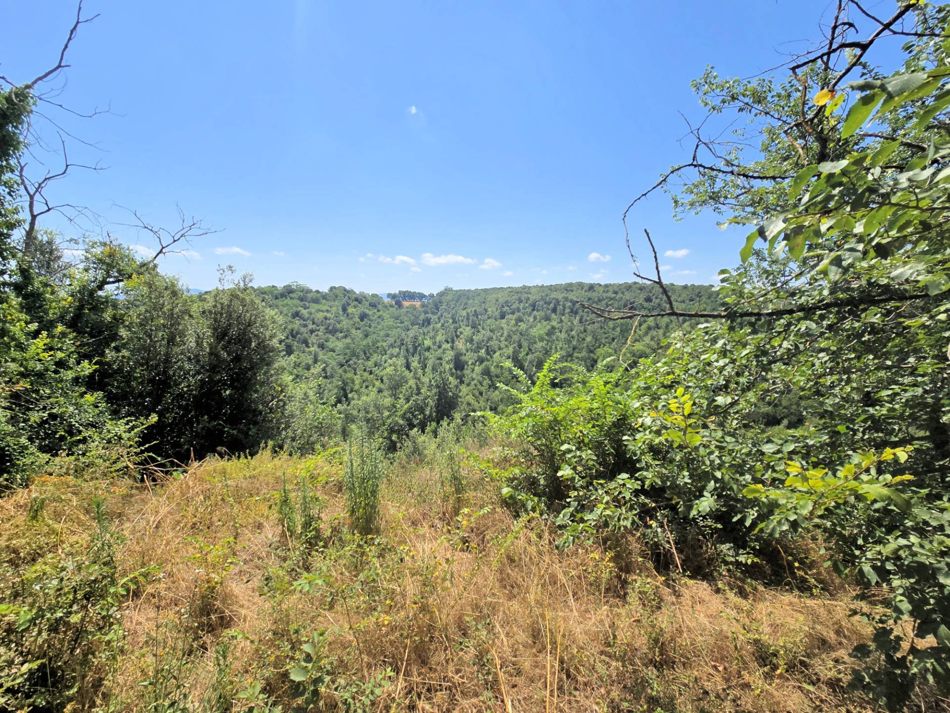 Antico fienile completamente ristrutturato con giardino e annessi posto in un piccolo borgo in vendi