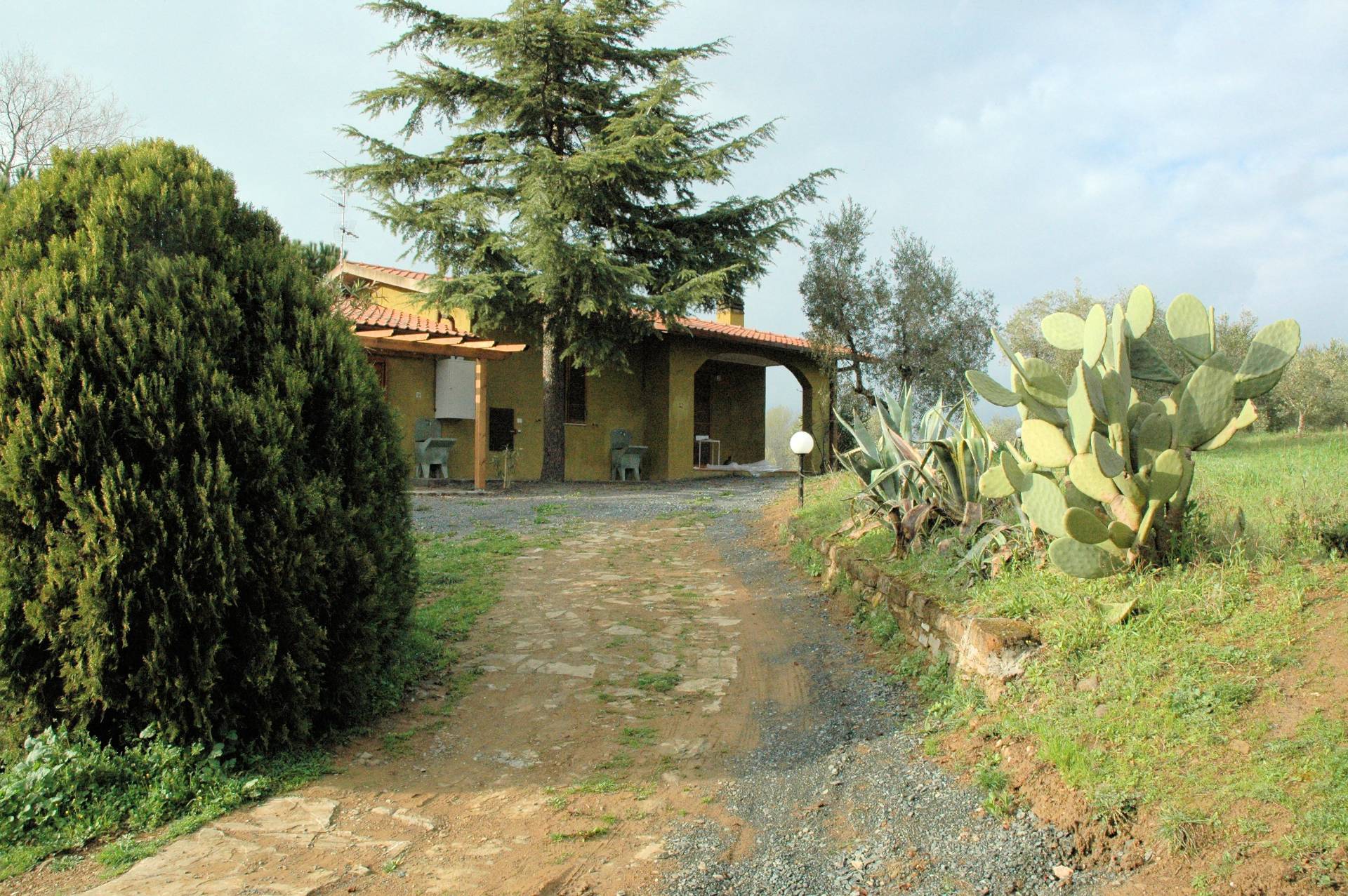 Casale con oliveto vicino a Grosseto in vendita a Grosseto