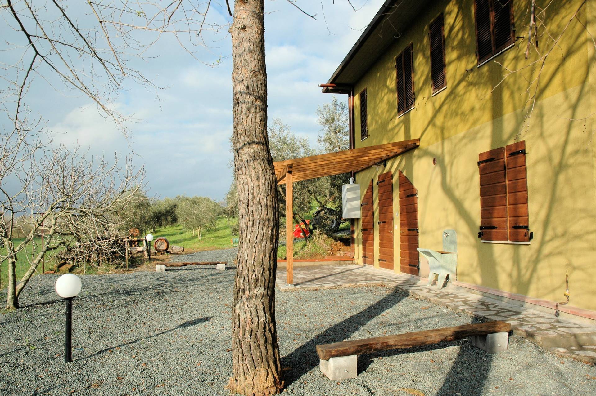 Casale con oliveto vicino a Grosseto in vendita a Grosseto