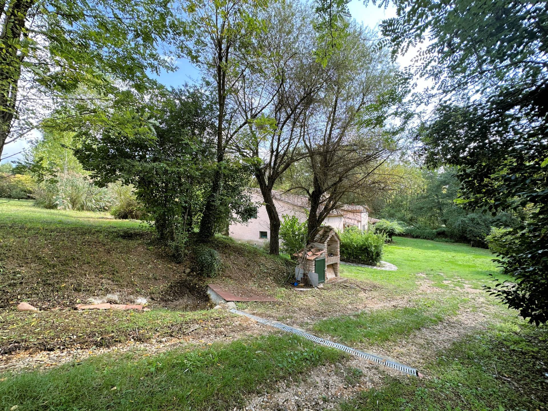 Complesso immobiliare di ampia superficie con ex mulino del 1200 in vendita a Chiusdino, Frosini