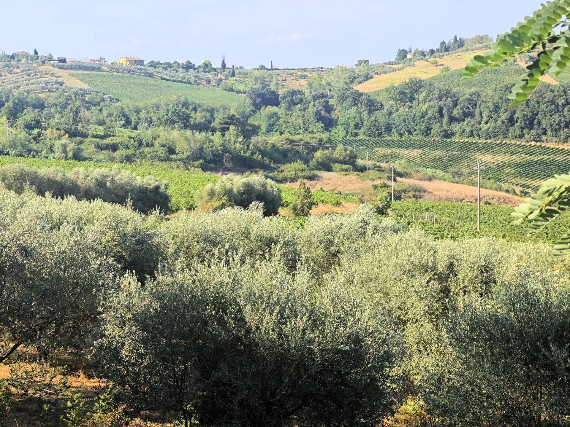 Porzione terratetto di casale con vista panoramica e ampio terreno in vendita a Gambassi Terme