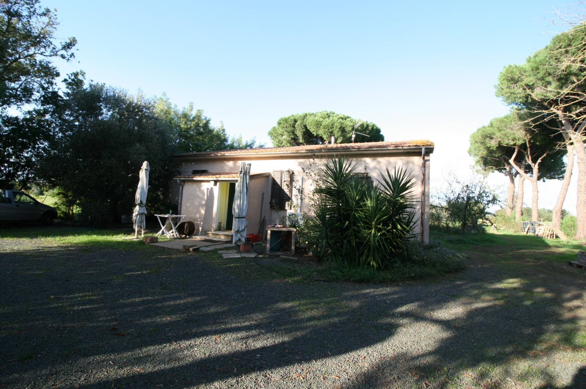 Piccolo podere nella pianura Maremmana in vendita a Roccastrada