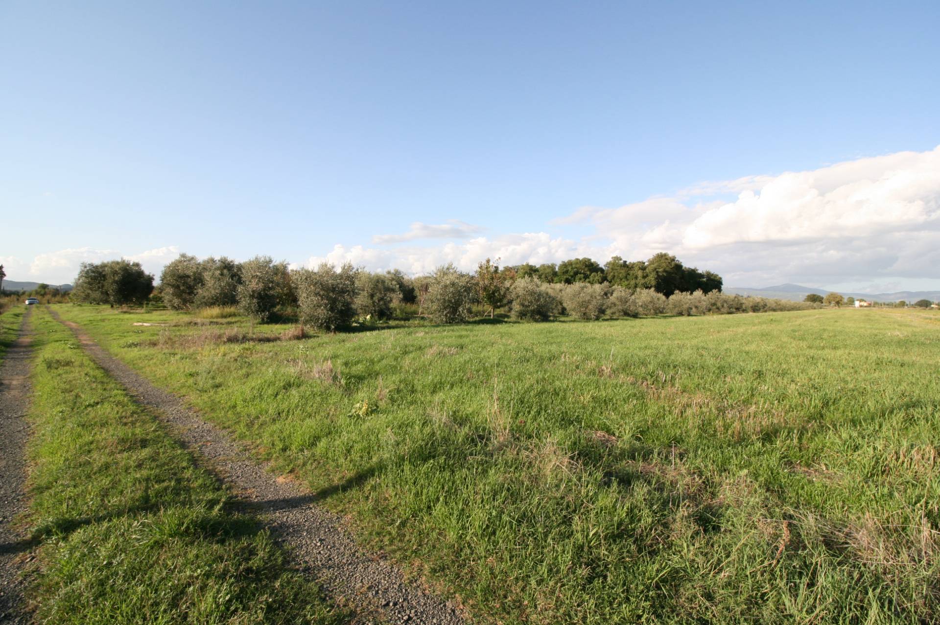 Piccolo podere nella pianura Maremmana in vendita a Roccastrada