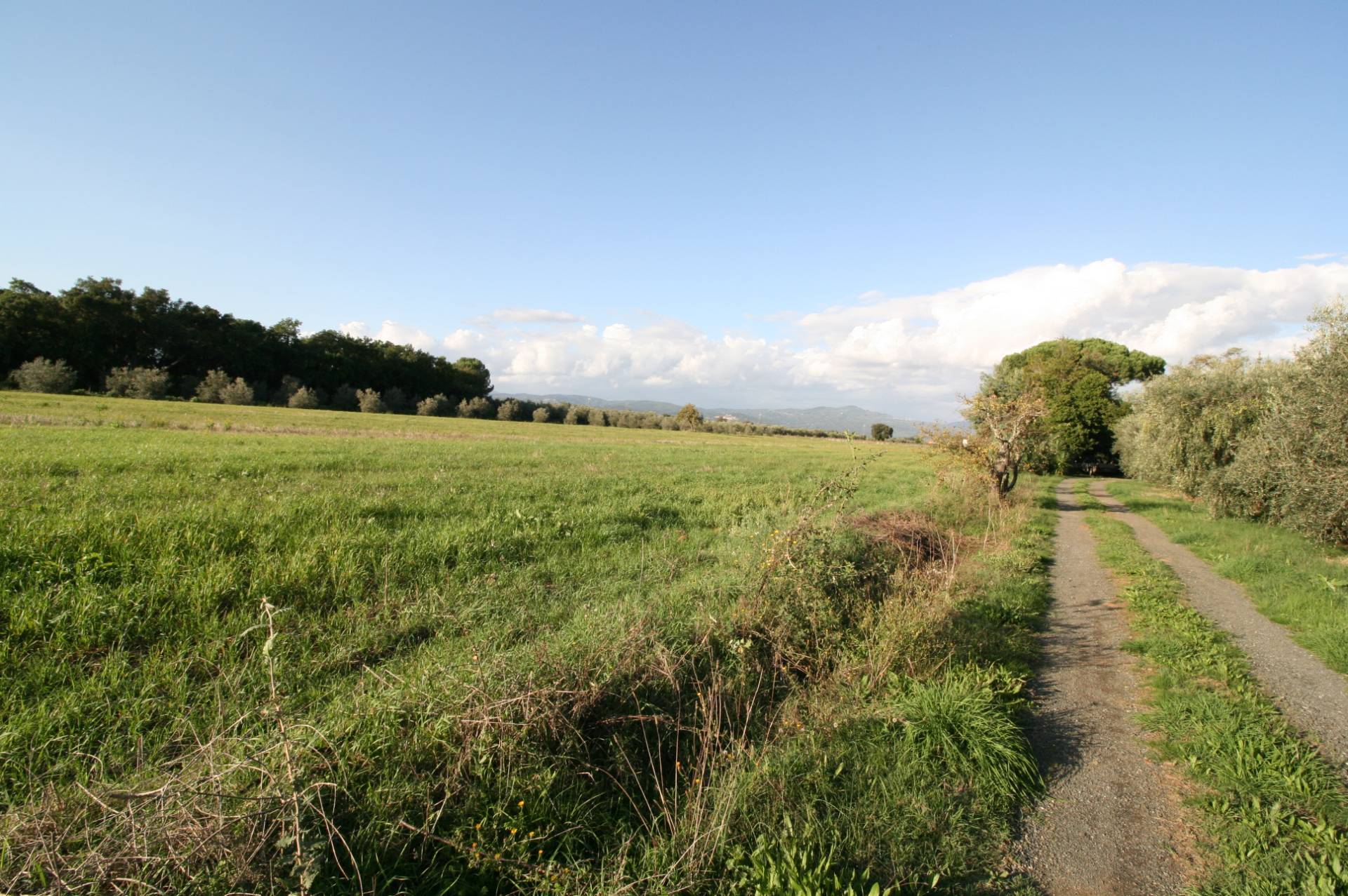 Piccolo podere nella pianura Maremmana in vendita a Roccastrada