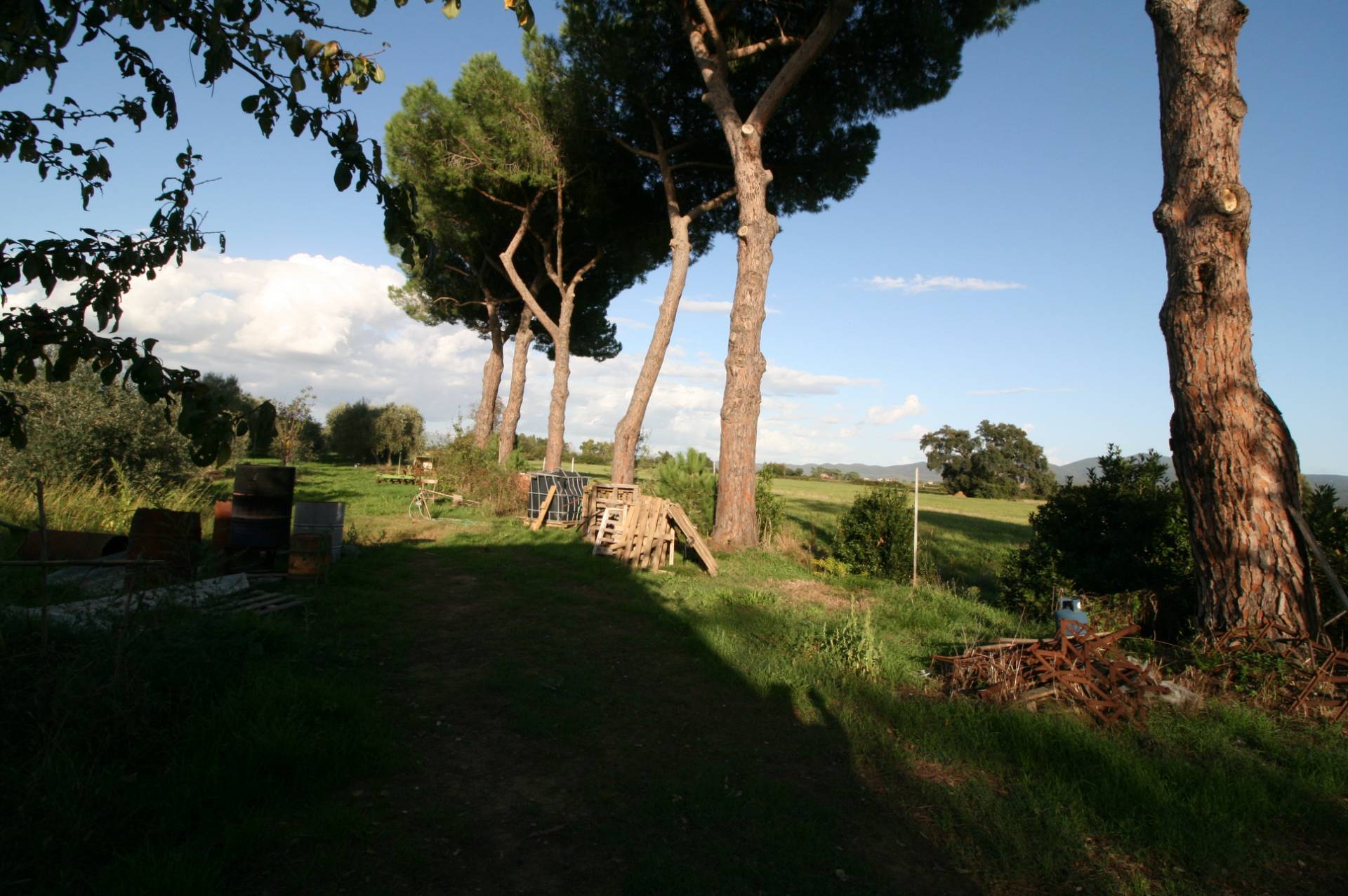 Piccolo podere nella pianura Maremmana in vendita a Roccastrada
