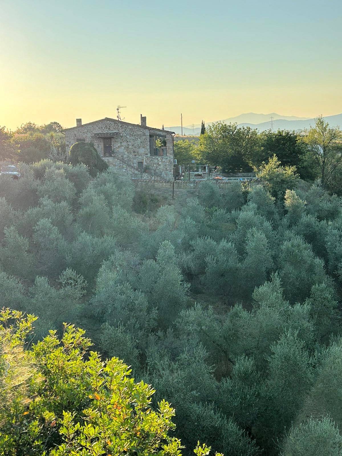 Casale in stile rustico Toscano con vista panoramica parco e piscina in vendita a Roccastrada, Ribol