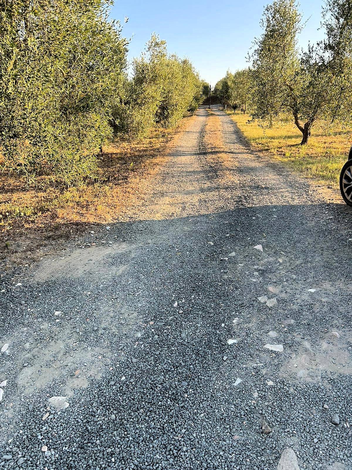 Casale in stile rustico Toscano con vista panoramica parco e piscina in vendita a Roccastrada, Ribol