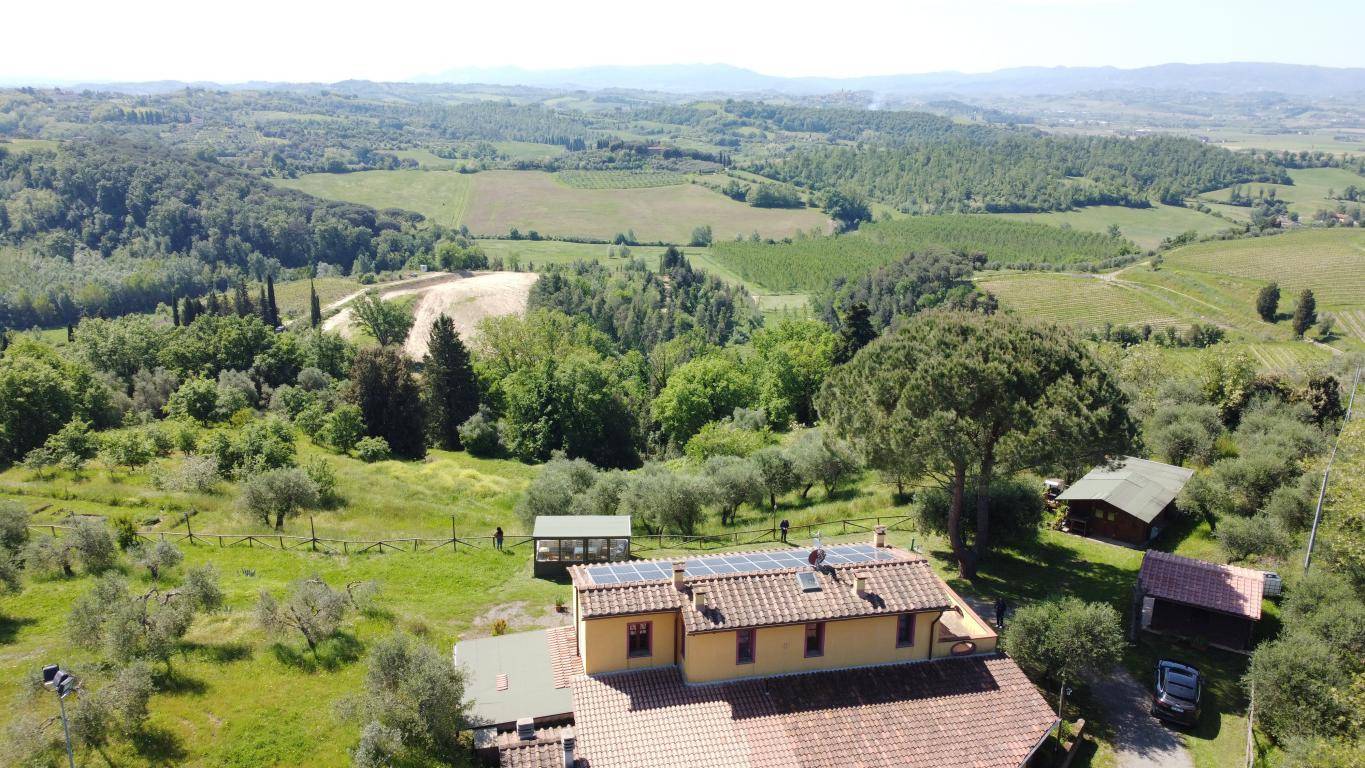 Piccola azienda agricola con casale di campagna in vendita a Palaia