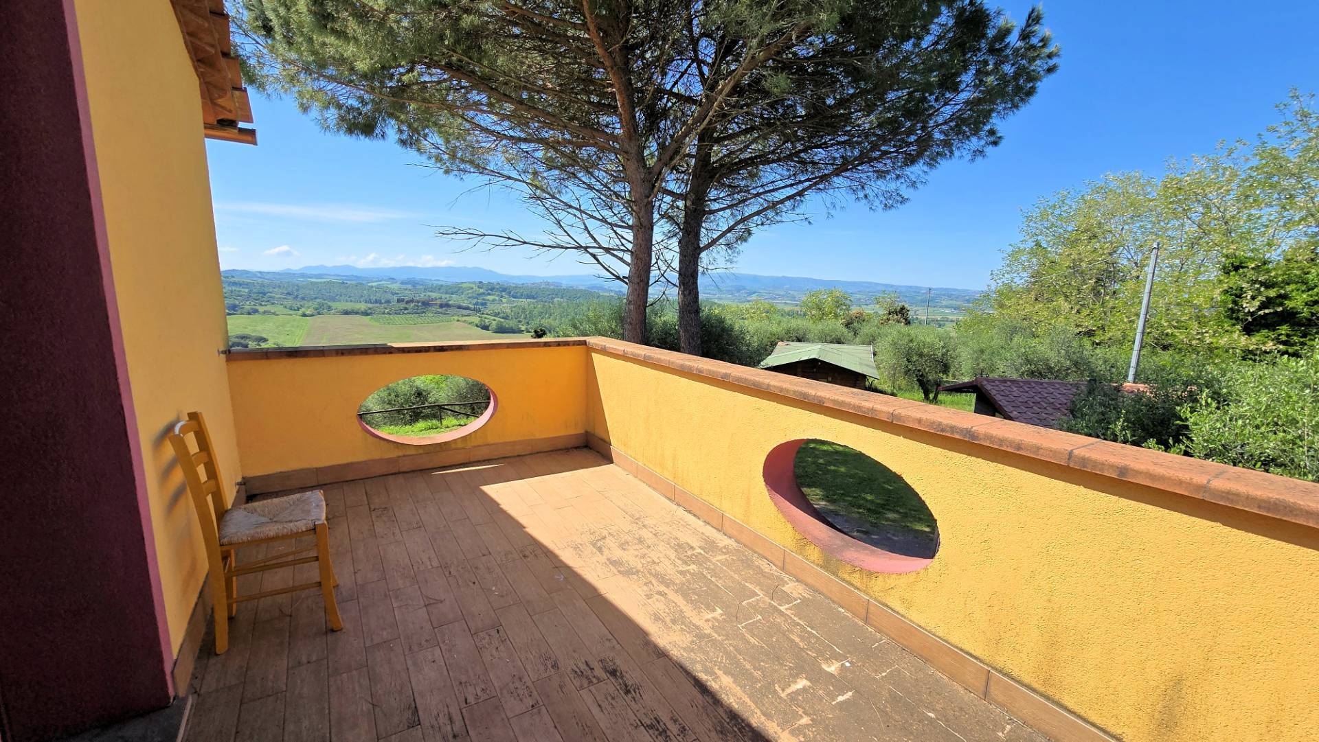 Piccola azienda agricola con casale di campagna in vendita a Palaia