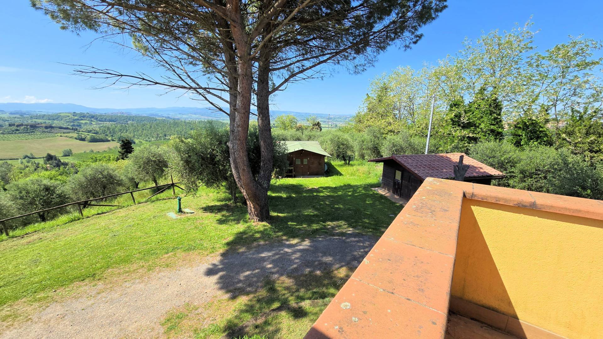 Piccola azienda agricola con casale di campagna in vendita a Palaia