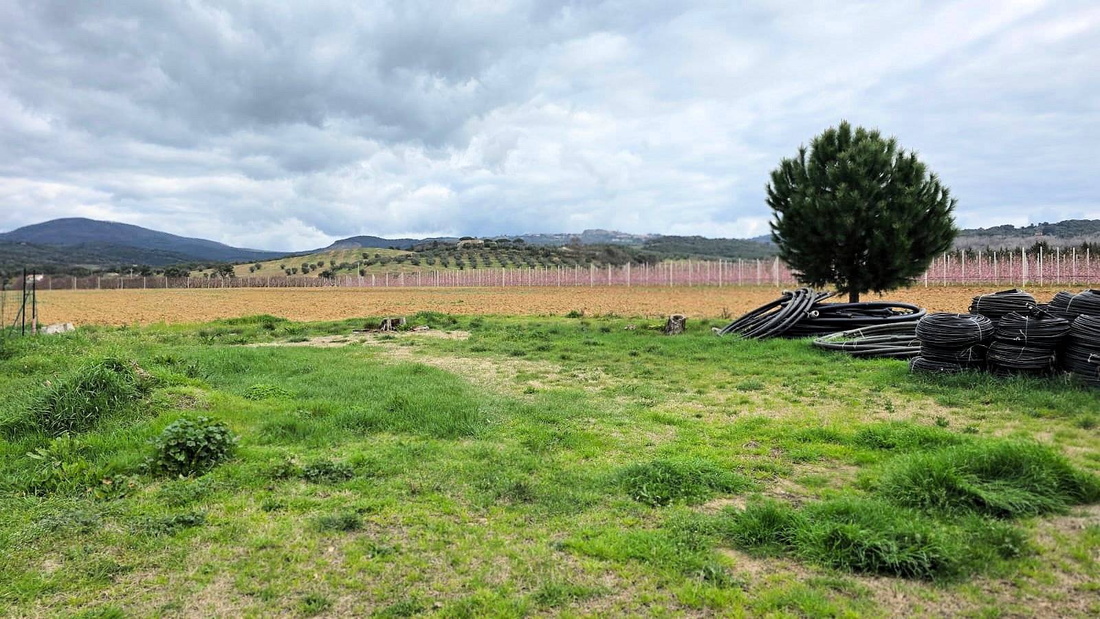 Rustico di ampia superficie da ristrutturare con terreno in vendita a Roccastrada