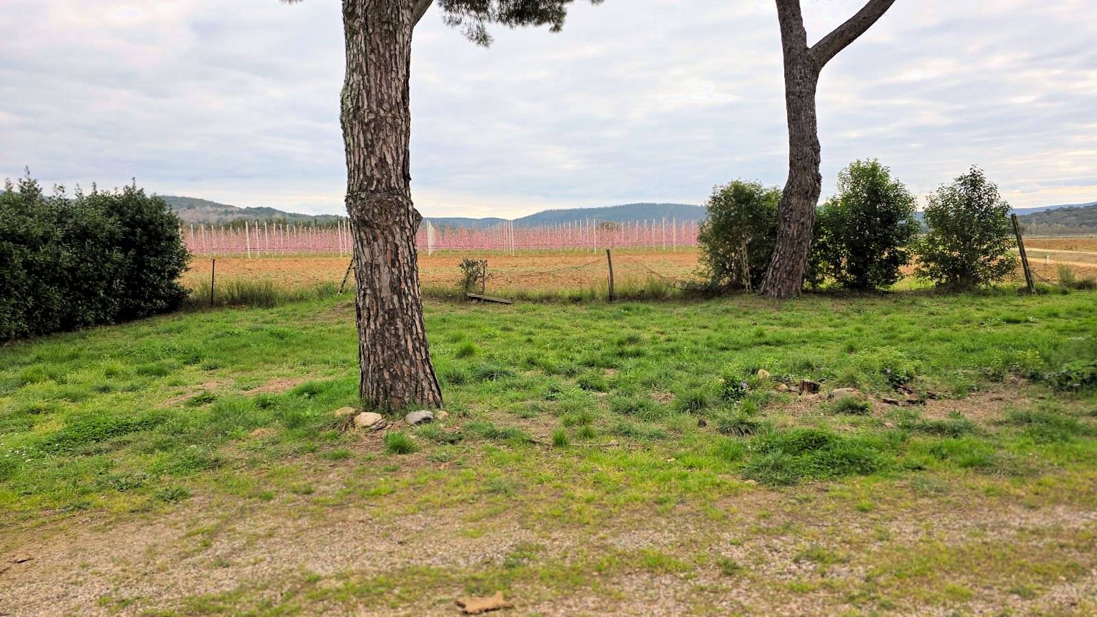 Rustico di ampia superficie da ristrutturare con terreno in vendita a Roccastrada