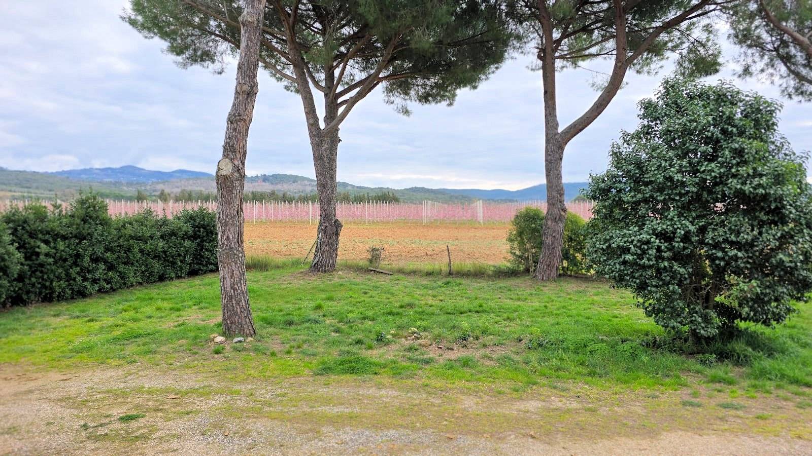 Rustico di ampia superficie da ristrutturare con terreno in vendita a Roccastrada