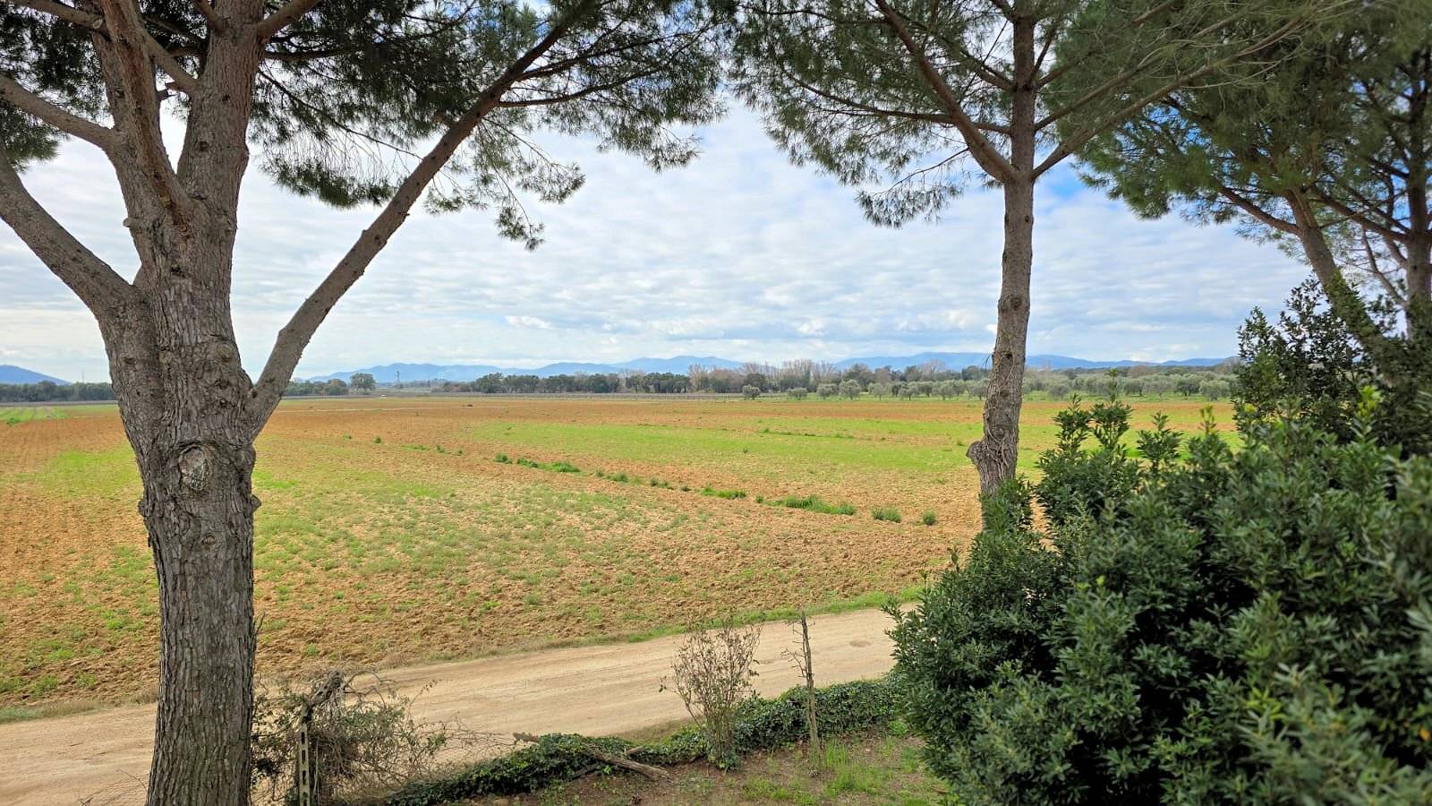 Rustico di ampia superficie da ristrutturare con terreno in vendita a Roccastrada