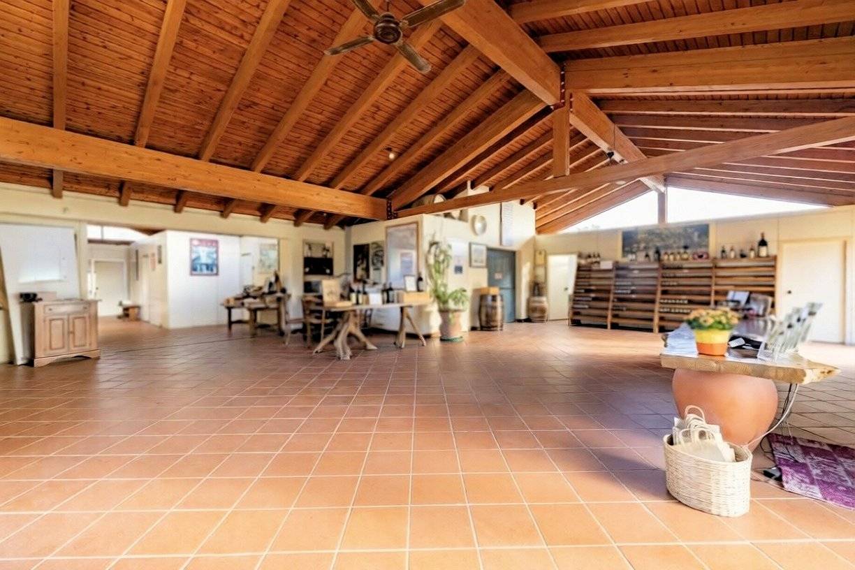 Azienda Vitivinicola di alto livello nel Chianti Classico in vendita a Castelnuovo Berardenga