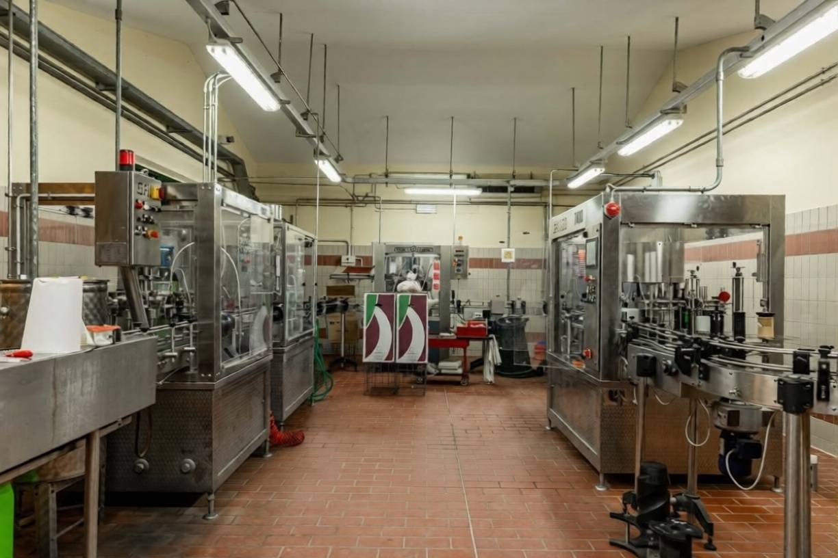 Azienda Vitivinicola di alto livello nel Chianti Classico in vendita a Castelnuovo Berardenga