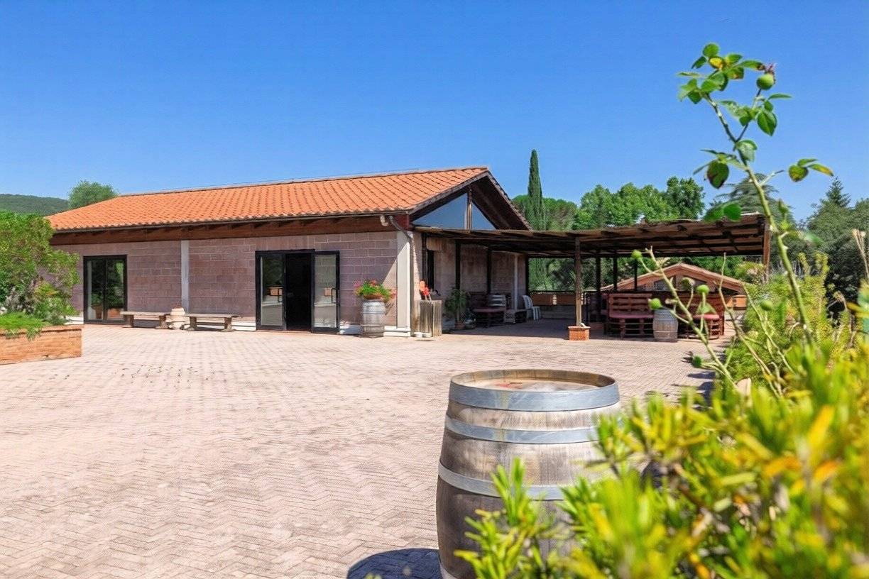 Azienda Vitivinicola di alto livello nel Chianti Classico in vendita a Castelnuovo Berardenga