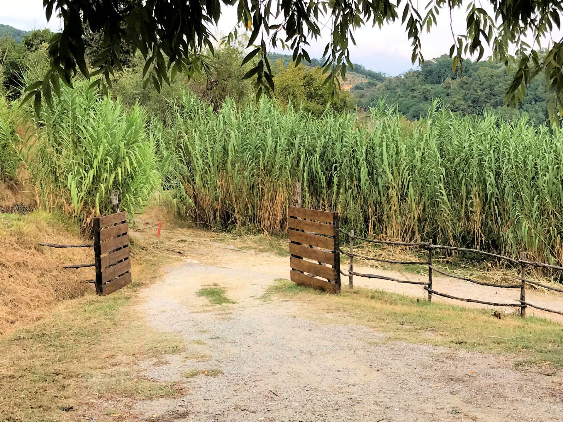 Casa colonica di ampia superficie in posizione dominante con vista panoramica in vendita a Massa e C