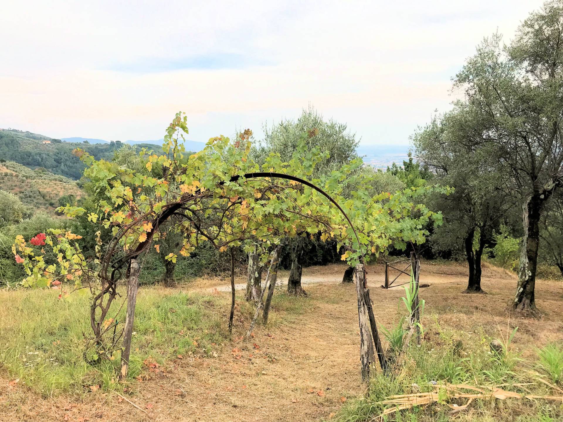 Casa colonica di ampia superficie in posizione dominante con vista panoramica in vendita a Massa e C
