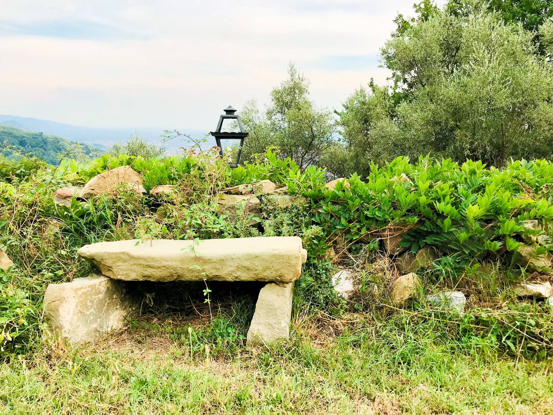 Casa colonica di ampia superficie in posizione dominante con vista panoramica in vendita a Massa e C