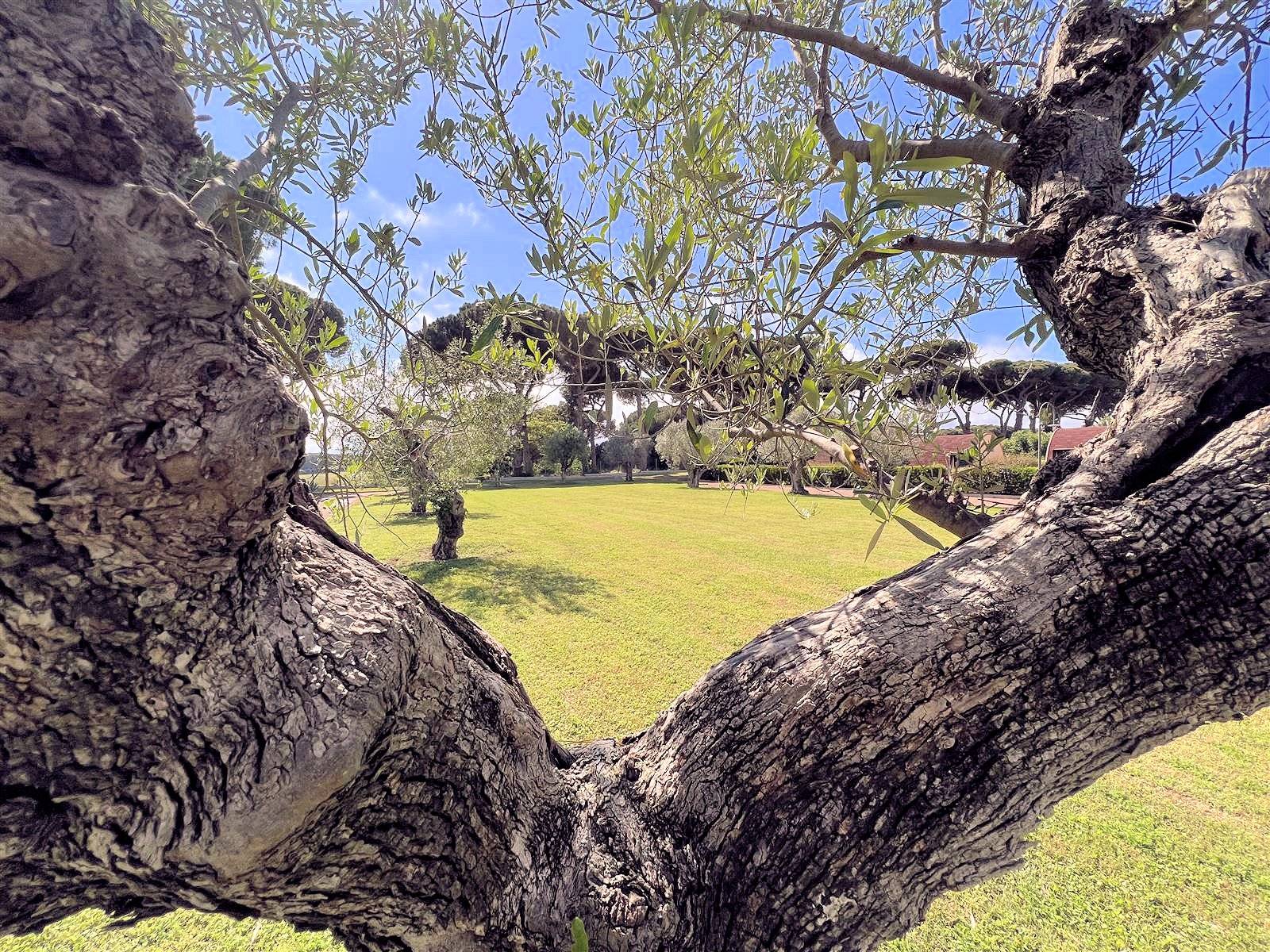 Appartamento al piano terra libero su tre lati con giardino privato in complesso residenziale di alt