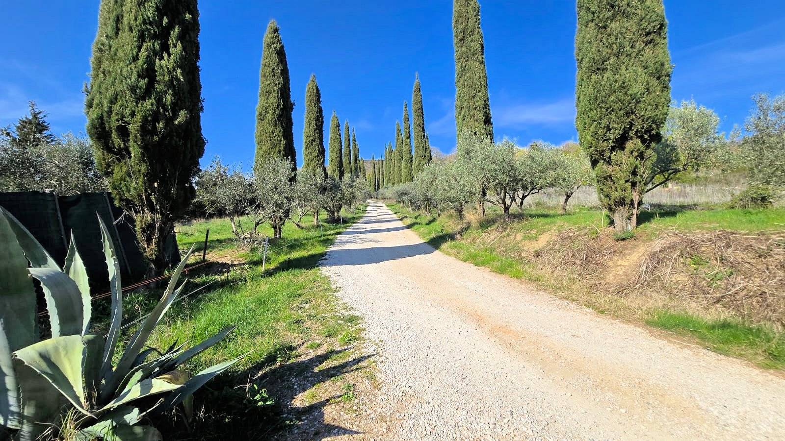 Rustico in stile Toscano con terreno in splendida posizione in vendita a Monterotondo Marittimo