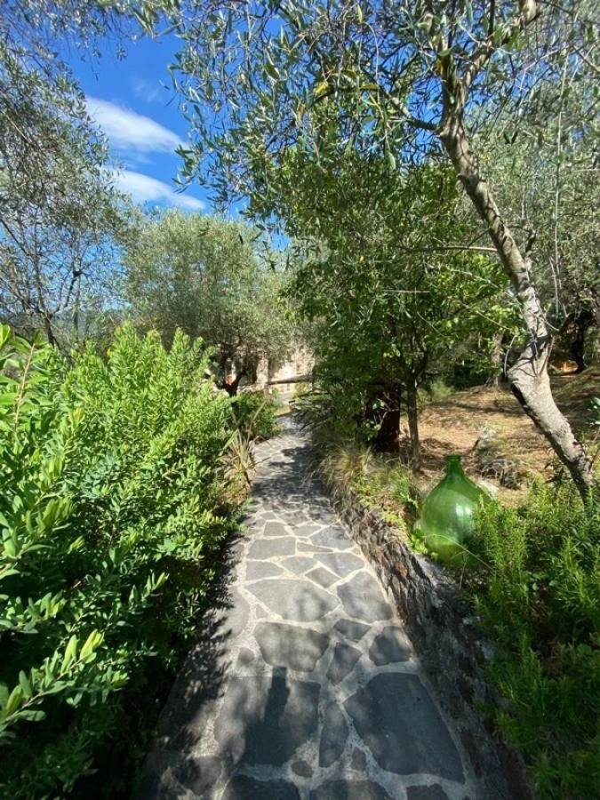 Rustico in stile Toscano con giardino e piscina in ottima posizione in vendita a Camaiore