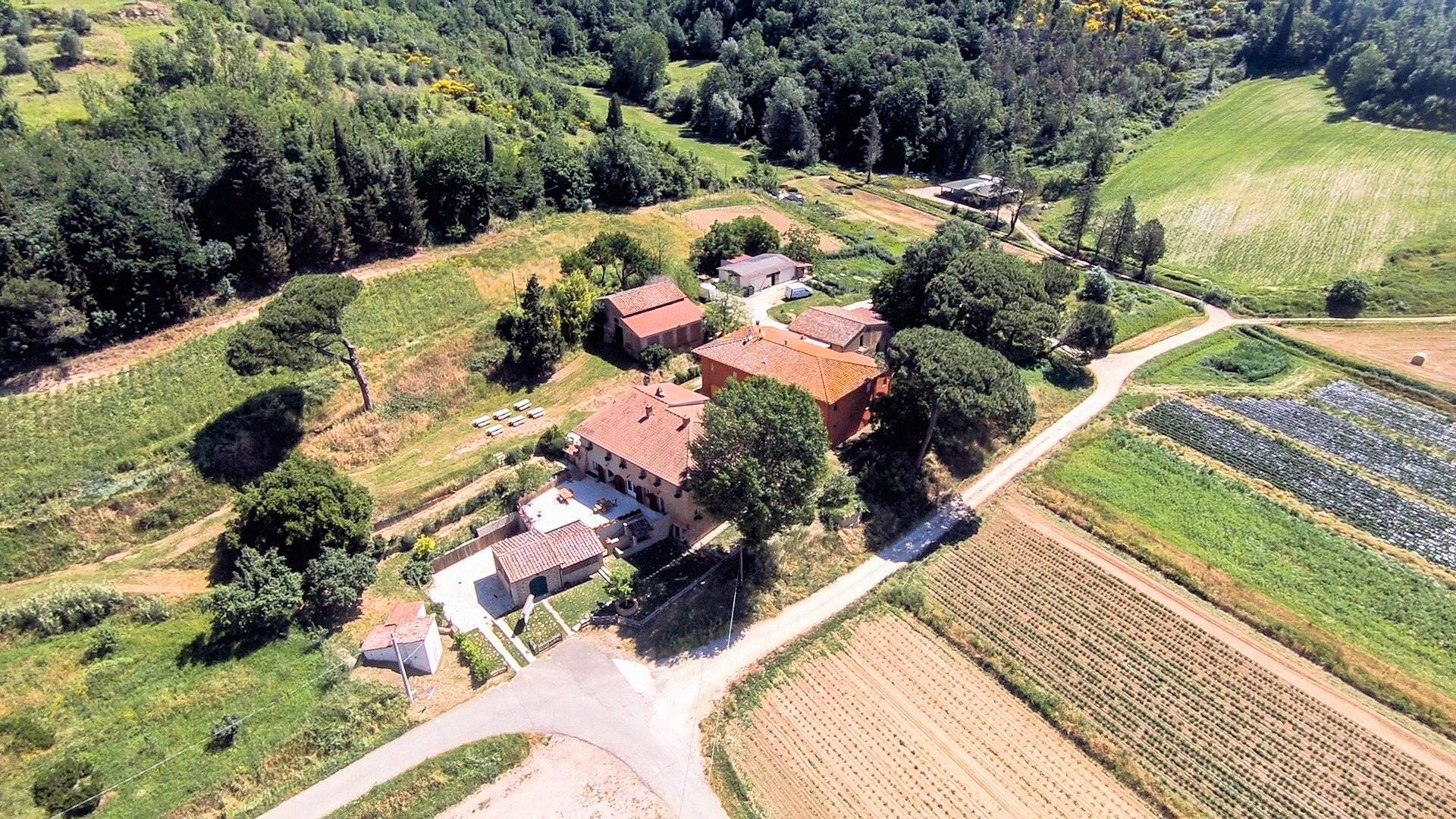 Azienda agricola composta da alcuni fabbricati e ampio terreno seminativo con vigneto in vendita a S