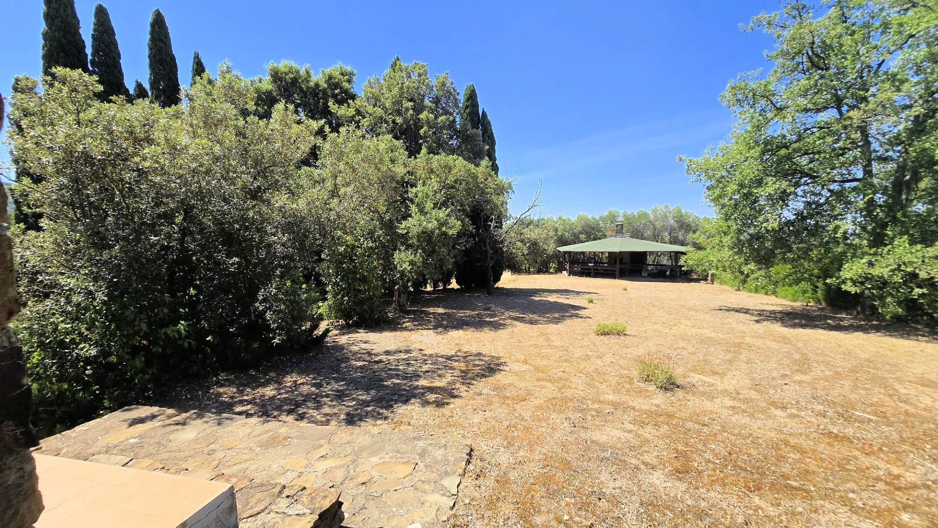 Villa unifamiliare con piscina e ampio terreno in vendita a Scansano, Montorgiali