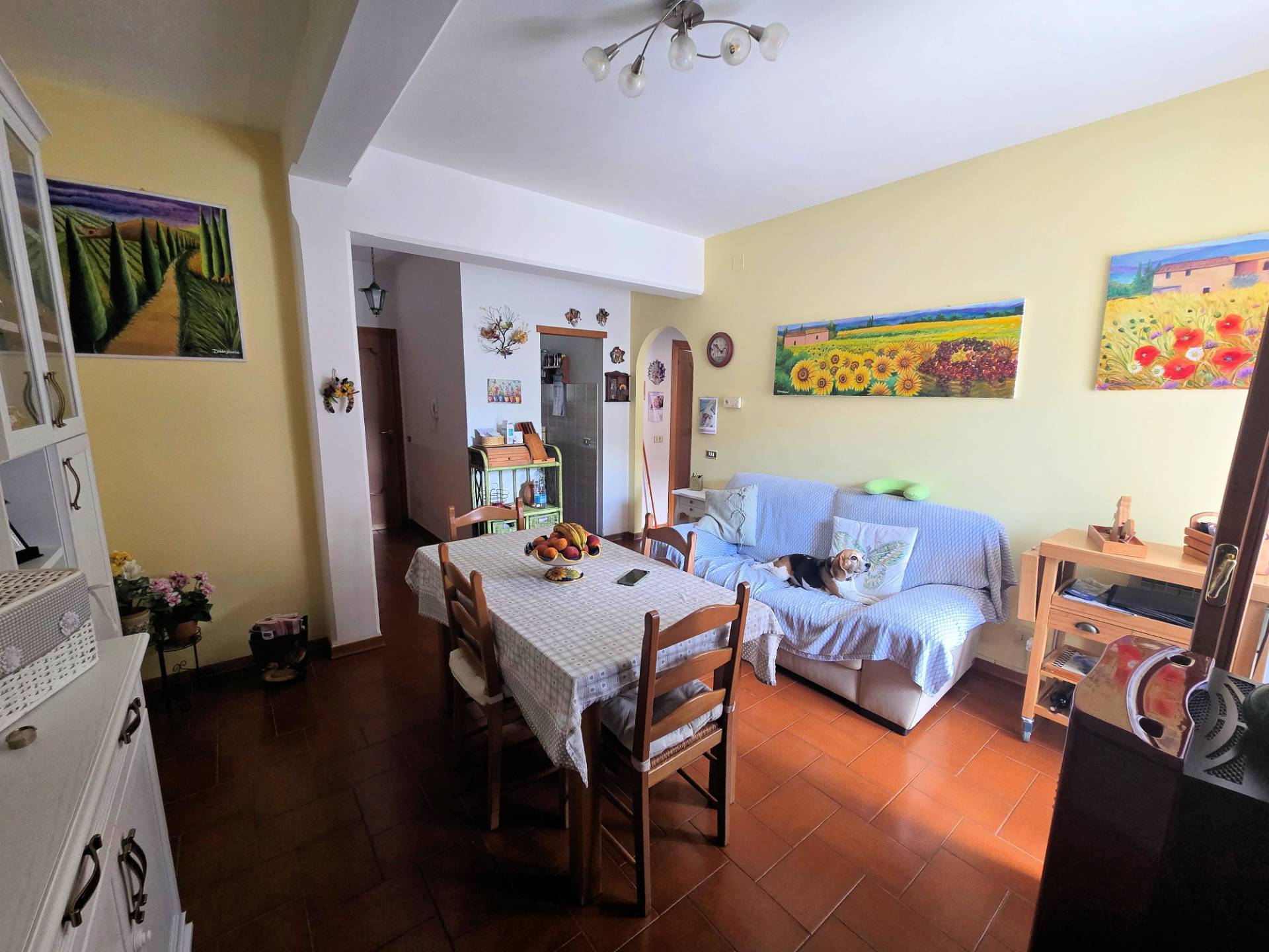 Appartamento al piano terra con giardino in vendita a San Marcello Piteglio