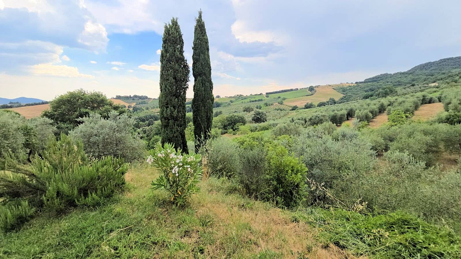 Casa indipendente ristrutturata con terreno e vista panoramica in vendita a Roccastrada