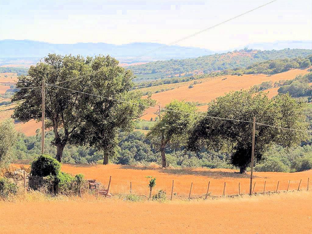 Podere da ristrutturare con ampio terreno in posizione panoramica in vendita a Magliano in Toscana, 