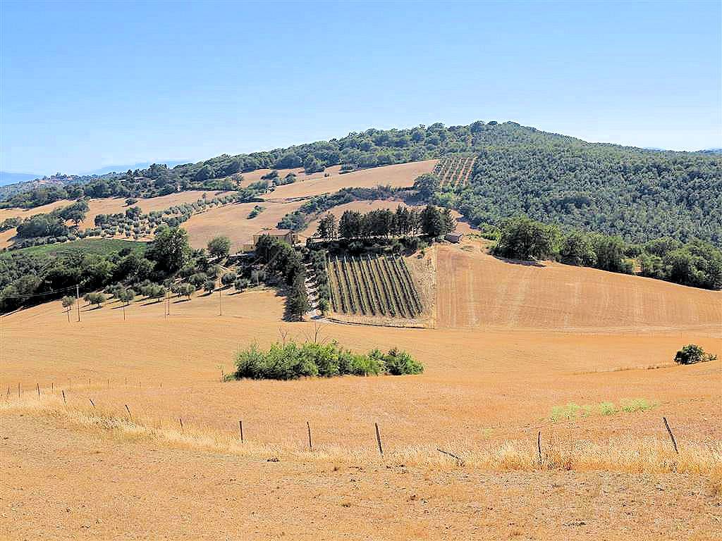 Podere da ristrutturare con ampio terreno in posizione panoramica in vendita a Magliano in Toscana, 
