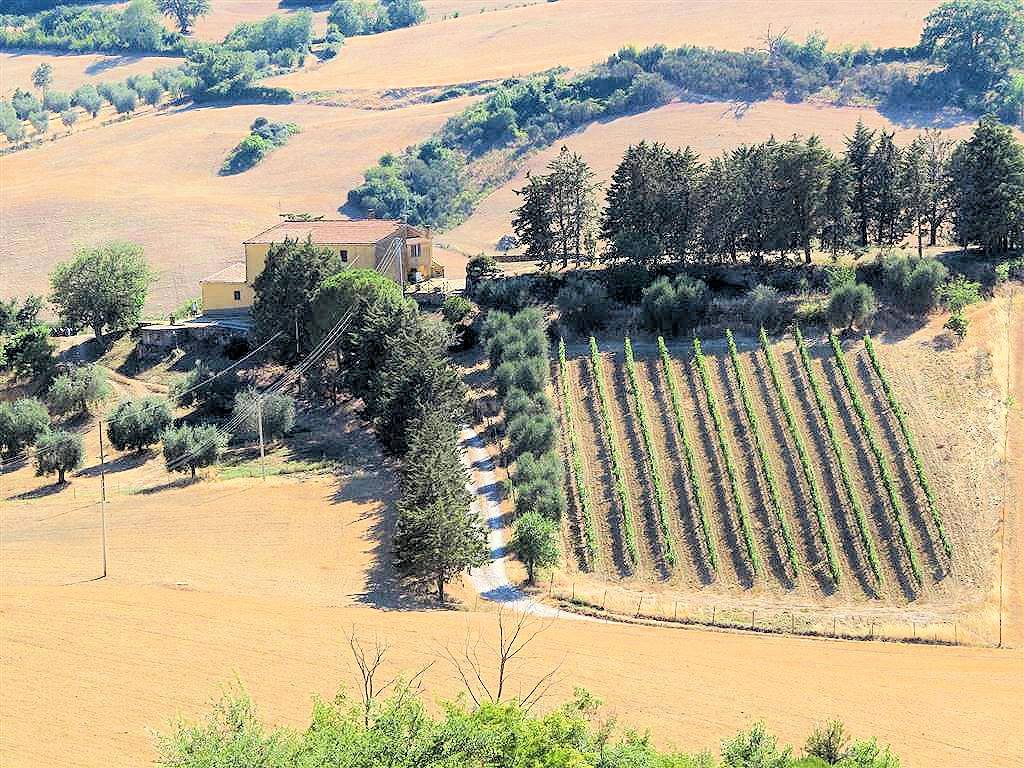 Podere da ristrutturare con ampio terreno in posizione panoramica in vendita a Magliano in Toscana, 