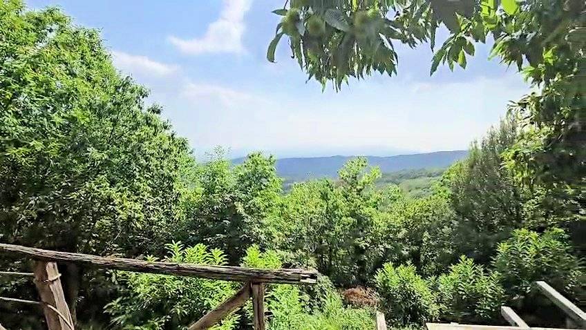Rustico con ampio terreno e vista panoramica in vendita a Roccastrada, Roccatederighi
